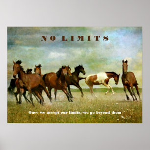 Pferd Motivierend Inspirierend Keine Grenzen Zitat Poster