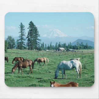 Pferd Mousepad