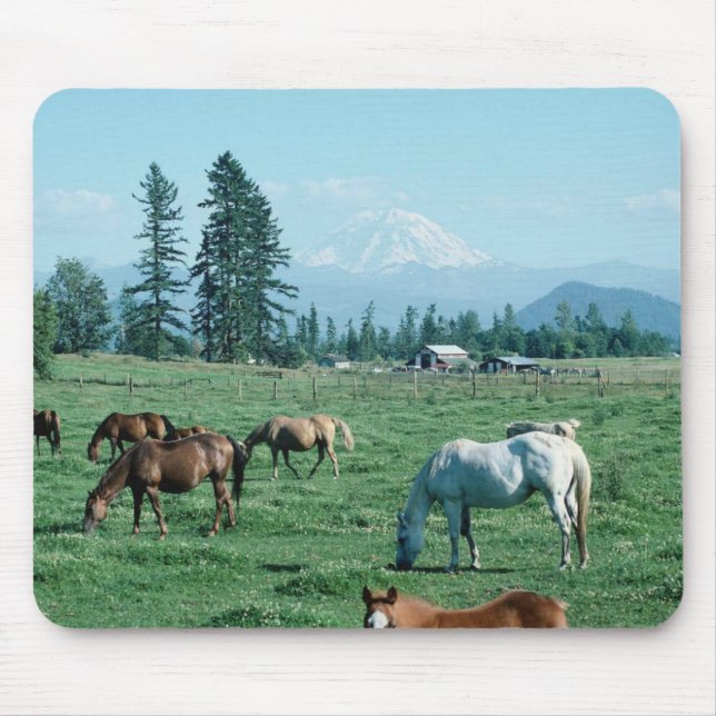 Pferd Mousepad