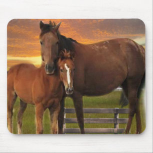 Pferd Mousepad