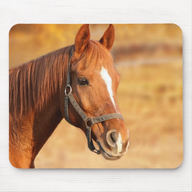 Pferd Mousepad (Vorne)