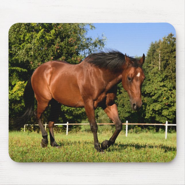 Pferd Mousepad (Vorne)