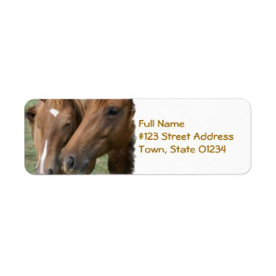 Pferd Nuzzle Postsendung-Aufkleber