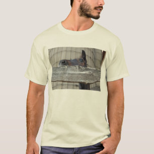 Pferd/Pony T-Shirt