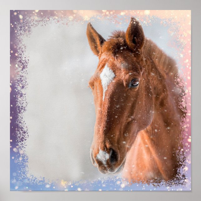 Pferd Poster (Vorne)