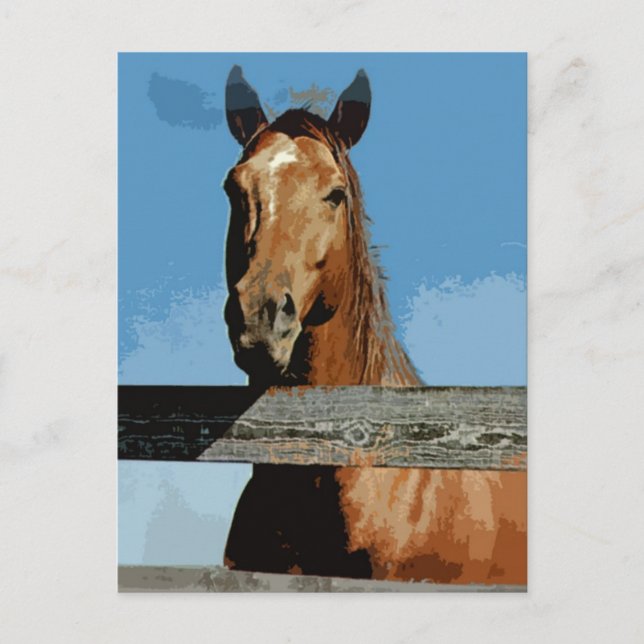 Pferd Postkarte (Vorderseite)