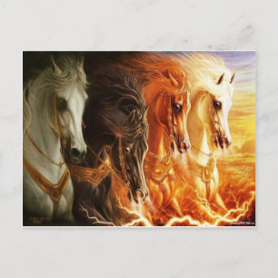 Pferd Postkarte