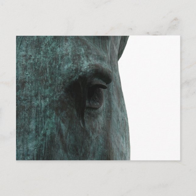 Pferd Postkarte (Vorderseite)