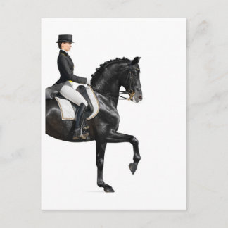 Pferd Postkarte