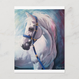 Pferd Postkarte