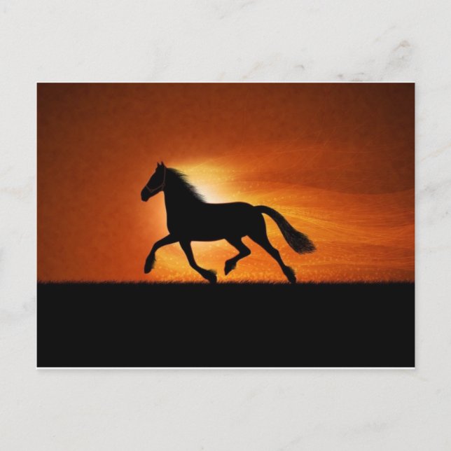 Pferd Postkarte (Vorderseite)