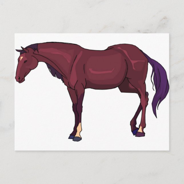 Pferd Postkarte (Vorderseite)