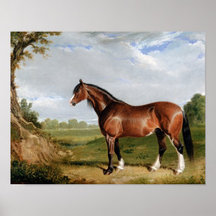 Pferd Reitsport Ölbild Vintage Antik Poster