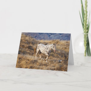 Pferd Roaming in den Landschaftlichen Hügeln des G Karte