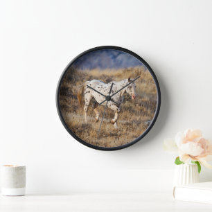 Pferd Roaming in den Landschaftlichen Hügeln des G Uhr