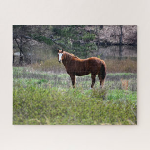 Pferd rückblickend puzzle