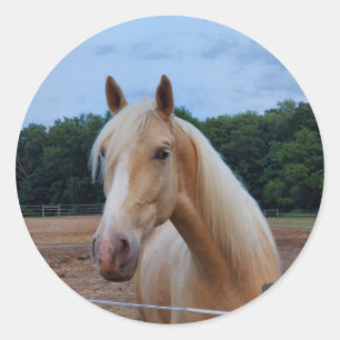 Pferd Runder Aufkleber
