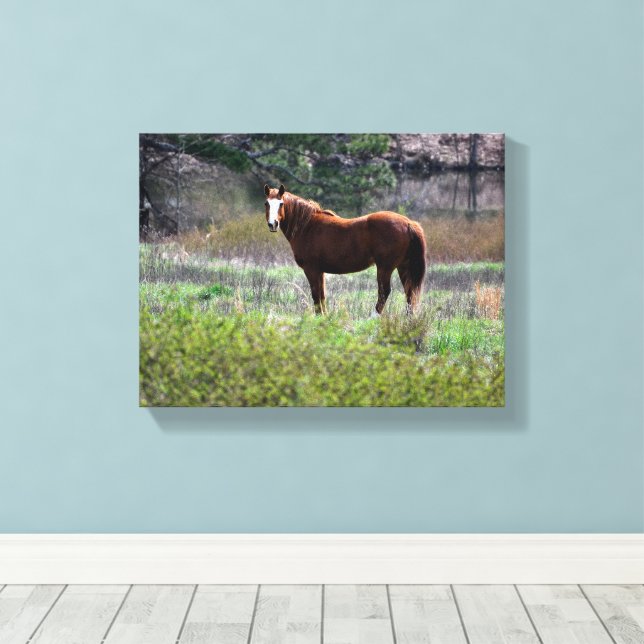 Pferd schaut zurück leinwanddruck (Insitu (Holzboden))