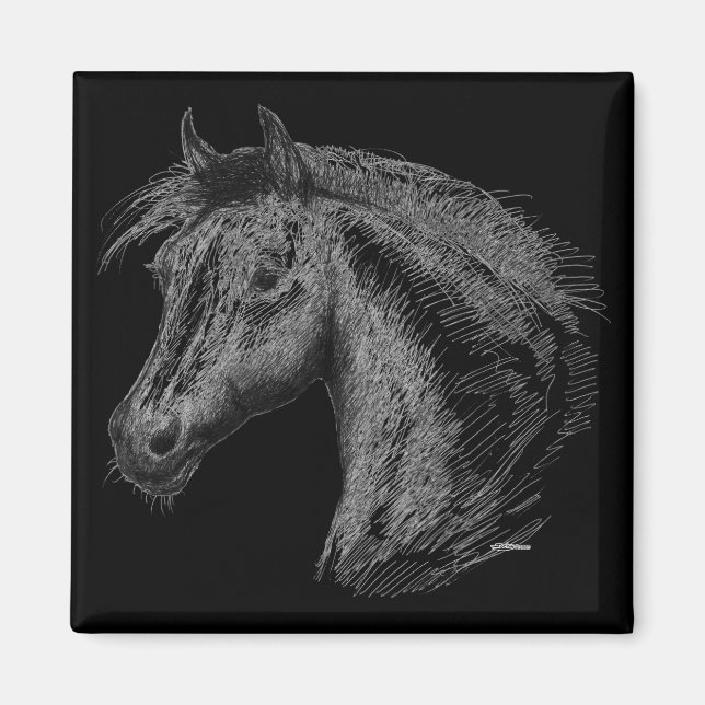 Pferd: Schwarz Magnet (Vorne)