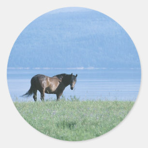 Pferd, See und Berglandschaft Runder Aufkleber