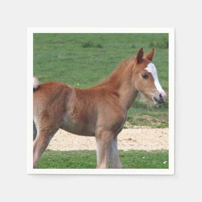 Pferd Serviette (Vorderseite)