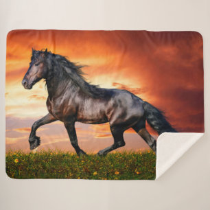 Pferd Sherpadecke
