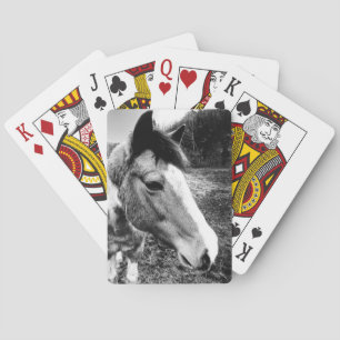 Pferd Spielkarten