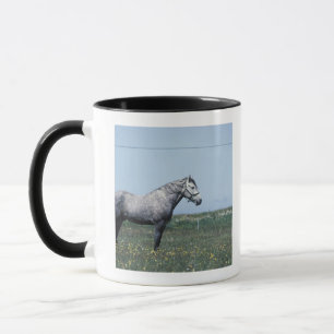 Pferd stehend auf dem Gebiet Tasse