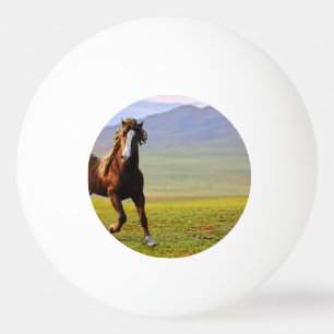 Pferd Tischtennisball