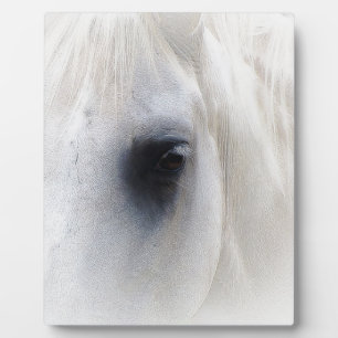 Pferd u. Blumen Fotoplatte
