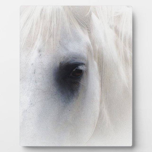 Pferd u. Blumen Fotoplatte (Vorderseite)