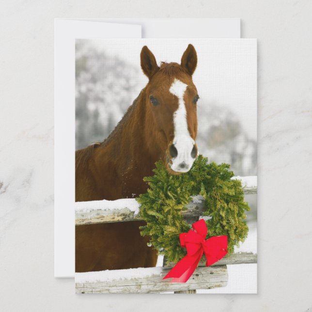 Pferd über Zaun schauen Einladung (Vorderseite)