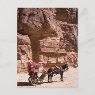 Pferd und Beförderung in Petra Postkarte