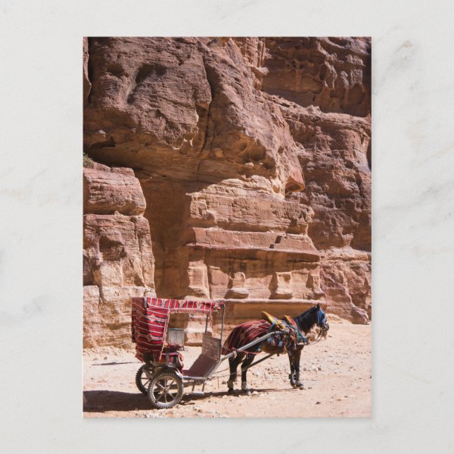 Pferd und Beförderung in Petra Postkarte (Vorderseite)