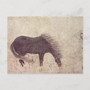 Pferd und Bräuche im Winter Postkarte