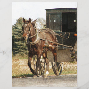 Pferd und Buggy