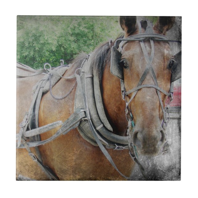 Pferd und Buggy Fliese (Vorderseite)