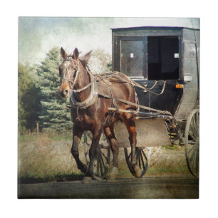 Pferd und Buggy im ländlichen Iowa Fliese