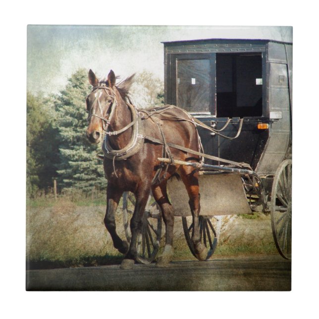 Pferd und Buggy im ländlichen Iowa Fliese (Vorderseite)