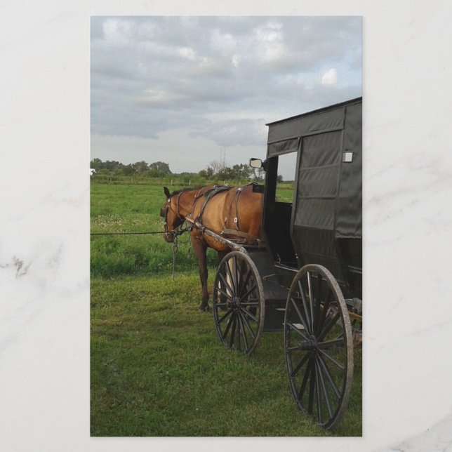 Pferd und Buggy im Sonnenuntergang Briefpapier (Vorderseite)