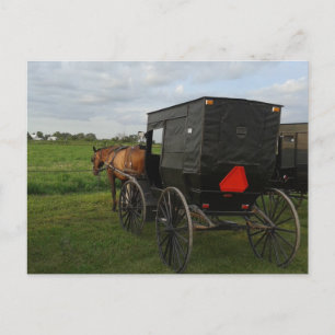 Pferd und Buggy im Sonnenuntergang Postkarte
