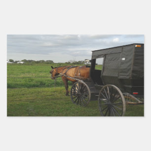 Pferd und Buggy im Sonnenuntergang Rechteckiger Aufkleber