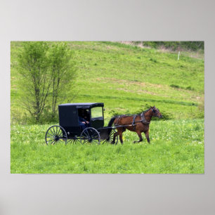 Pferd und Buggy in der Nähe von Berlin, Ohio. Poster