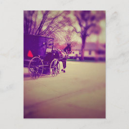 Pferd und Buggy Postkarte