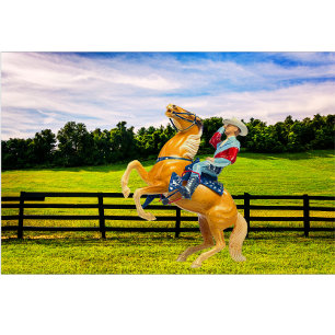 Pferd und Cowboy Lendenkissen