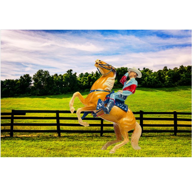 Pferd und Cowboy T-Shirt (Von Creator hochgeladen)
