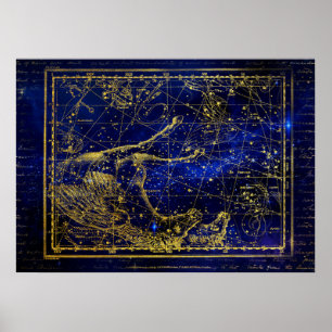 Pferd und Delfin Sternbild Poster