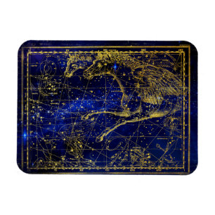 Pferd und Delphin-Sternbild-Magnet Magnet