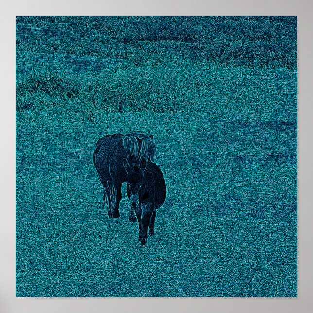 Pferd und Donkey Poster (Vorne)