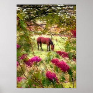Pferd und Fliedern Poster
